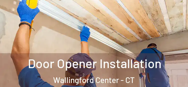 Door Opener Installation Wallingford Center - CT