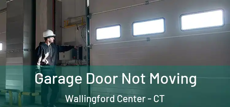  Garage Door Not Moving Wallingford Center - CT